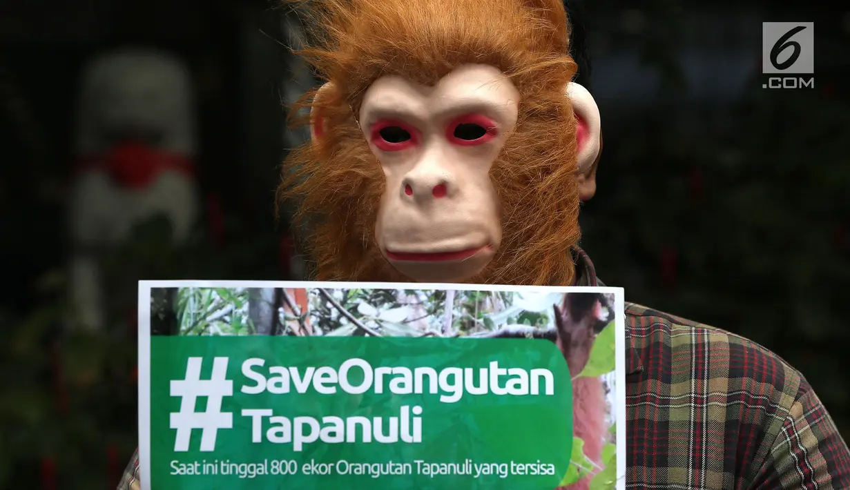 Aktivis WALHI memakai topeng orangutan saat menggelar aksi di depan Gedung Bank of China, Jakarta, Jumat (1/3). Aksi ini digelar jelang putusan PTUN Medan terkait gugatan WALHI terhadap izin lingkungan PLTA Batang Toru. (Liputan6.com/Fery Pradolo)