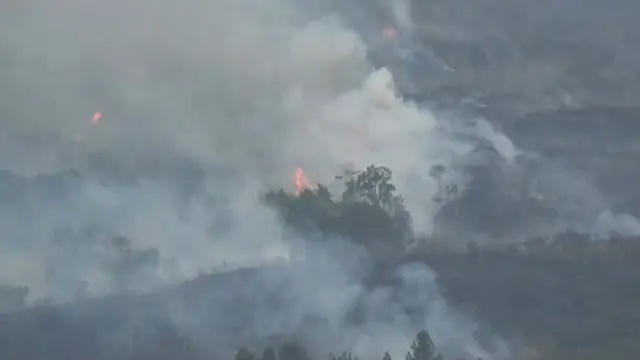 50 Hektar Hutan di Gunung Ciremai Terbakar
