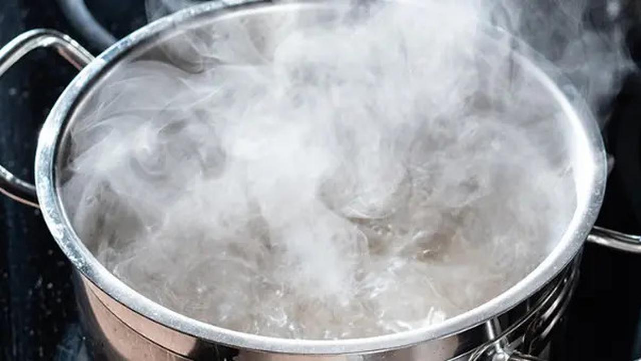 Cara Menghilangkan Lendir Ikan Lele dengan 3 Bahan Dapur, Bebas Bau Amis dan Lebih Bersih