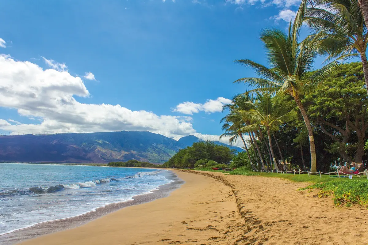 Pantai/pixabay