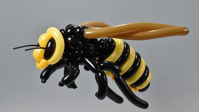 Balloon Art
