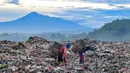 Warga yang berprofesi sebagai pemulung mengumpulkan sampah plastik dengan latar belakang Gunung Gede-Pangrango di Tempat Pembuangan Akhir Galuga, Bogor, Kamis (6/11/2025). Untuk diketahui, mikroplastik timbul dari proses degradasi tidak sempurna dari sampah plastik. Mikroplastik dapat tersebar melalui berbagai media mulai dari air sampai dengan udara. (merdeka.com/Arie Basuki)