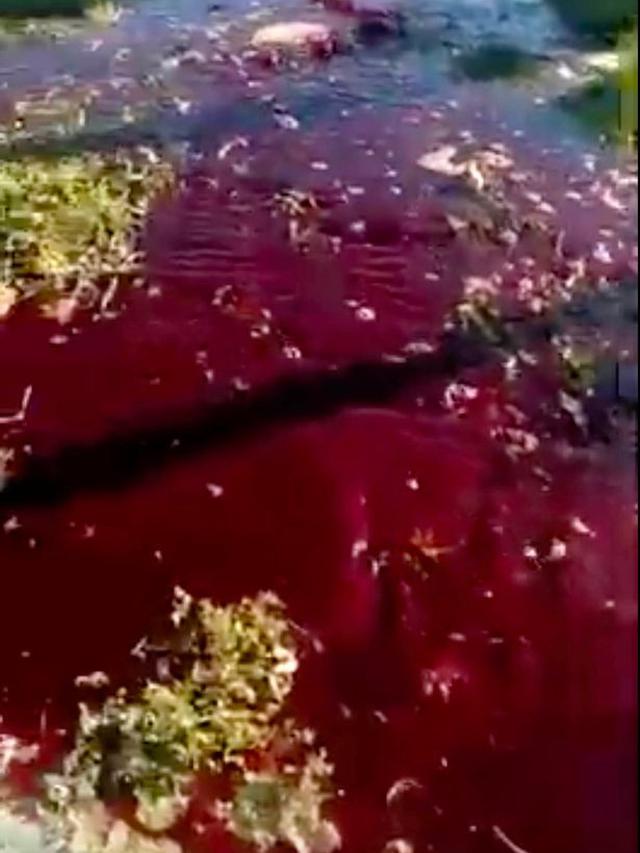 Air Jadi Darah di Turki