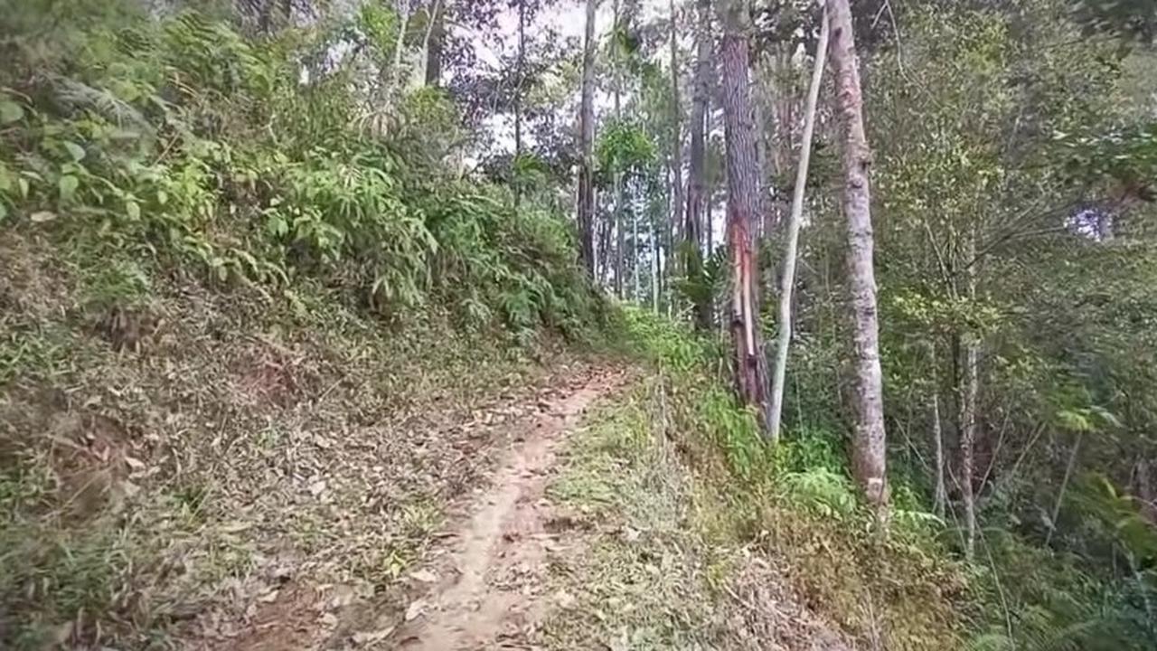 Melihat Keseharian Para Lansia di Kampung Terpencil Tengah Hutan Banyumas, Hidup Serba Sulit