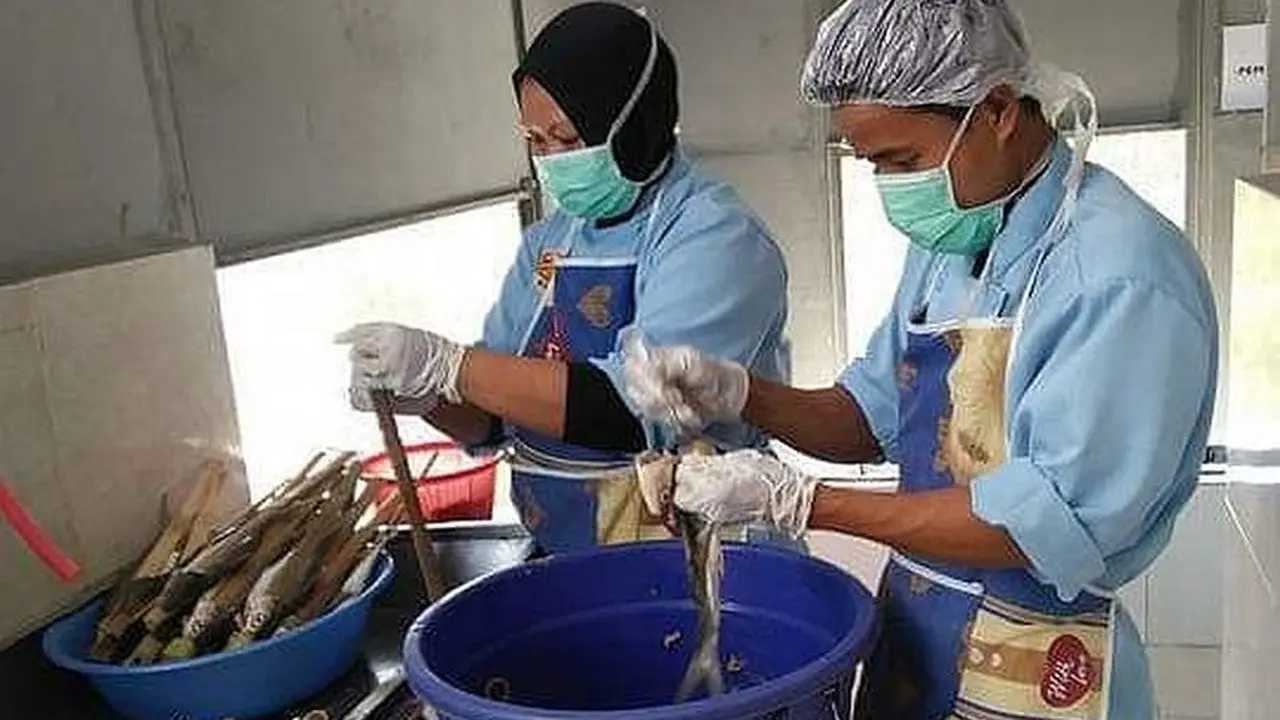 Mantan eks TKI Malaysia asal kota Serang Banten Midah Dahmalia, memutuskan membuat kelompok pengolahan dan pemasar (Poklahsar) Bilvie.