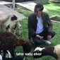 Presiden Joko Widodo memiliki kambing peliharaan. (Dok: YouTube Presiden Jokowi)