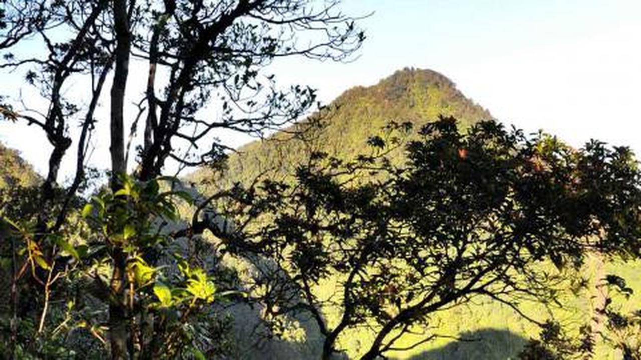 Dari mana asal-muasal penamaan Gunung Salak?