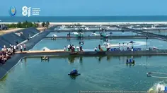 KKP Kembangkan Tambak Udang Modern Terbesar di Indonesia