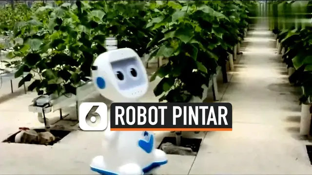 robot china