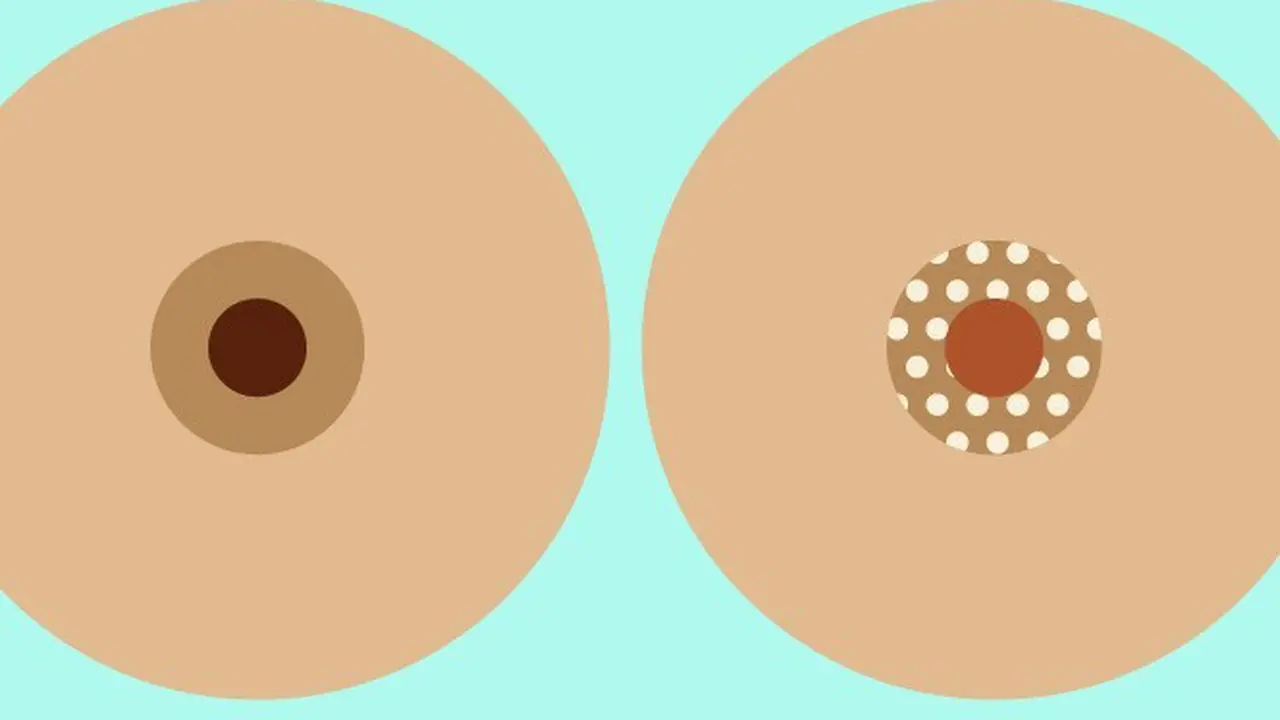 9 Hal yang Dianggap Aneh Tentang Puting Ini Ternyata Normal