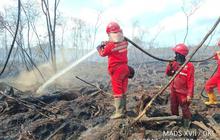 BNPB Intensifkan Penanganan Karhutla Ribuan Hektare di Tiga Provinsi Prioritas