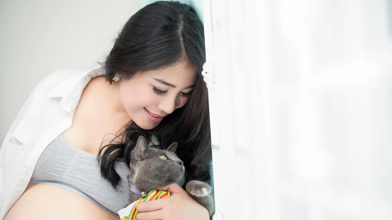 ibu hamil memelihara kucing