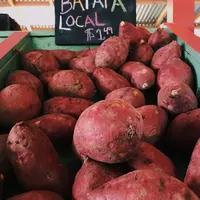 ilustrasi ubi ungu untuk mencegah diabetes/unsplash