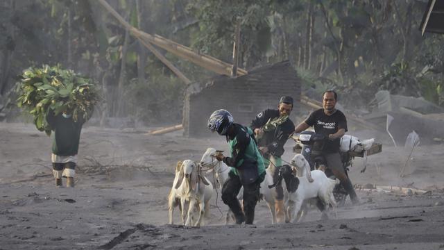 Dampak Letusan Gunung Semeru di Desa Kajar Kuning