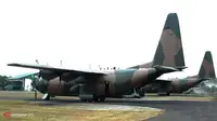 Hercules TNI AU (Antara)