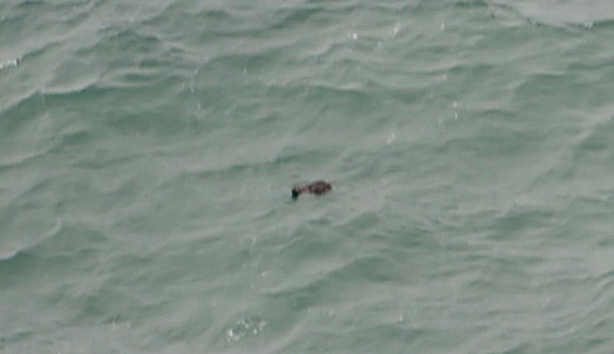 Sebuah benda diduga serpihan badan pesawat ditemukan di permukaan perairan di sekitar lokasi pencarian pesawat AirAsia QZ8501, Bangka Belitung, Selasa (30/12/2014). (AFP PHOTO/Bay ISMOYO) 