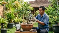 8 Cara Mengerdilkan Pohon Rambutan di Pot, Tetap Produktif dan Mudah Dirawat