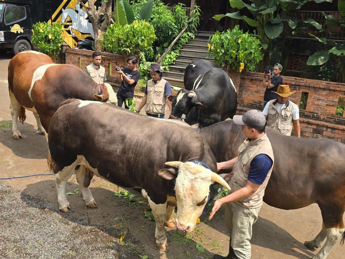 Dok. Istimewa