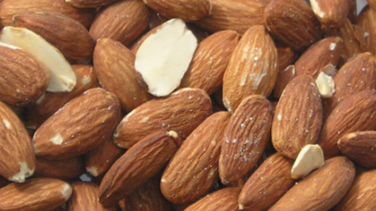 Makan kacang almond