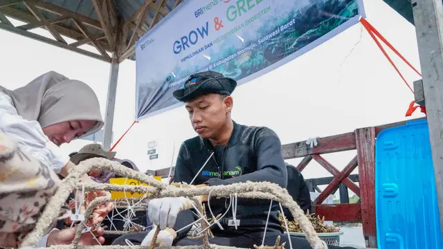 Didukung BRI Menanam Grow & Green, Masyarakat Ujung Bulo Berhasil Kembangkan Potensi Wisata Daerah dan Jaga Ekosistem Laut