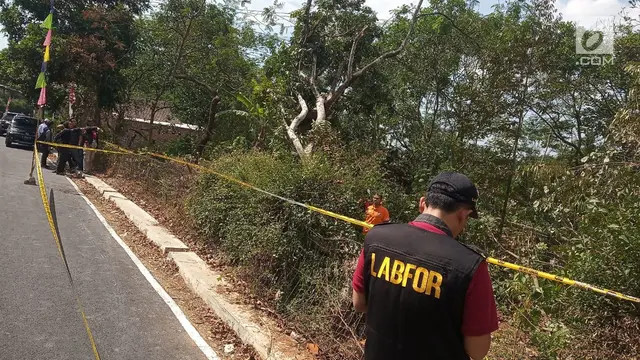 Pohon Sengon dan Desa Malon