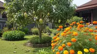 4 Jenis Tanaman Pendamping yang Bikin Panen Pohon Buah Makin Lebat Secara Alami