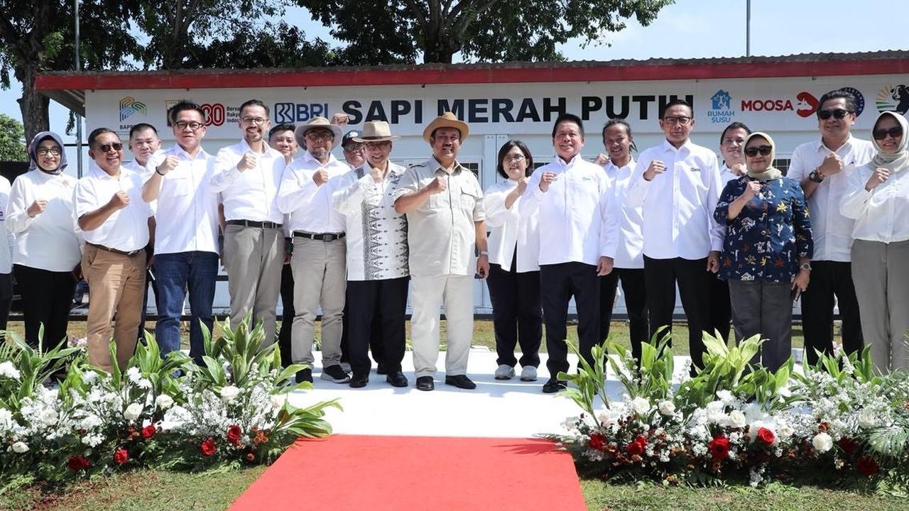 Dorong Swasembada Pangan Nasional, BRI Dukung Program Sapi Merah Putih