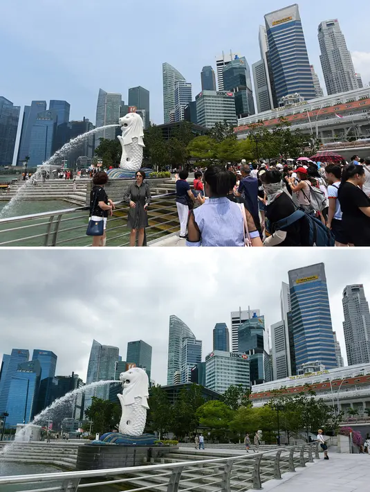 Pengunjung Taman Merlion di Singapura pada 13 Agustus 2019 (atas) dan pada 6 Maret 2020. (Roslan RAHMAN, Catherine LAI/AFP)
