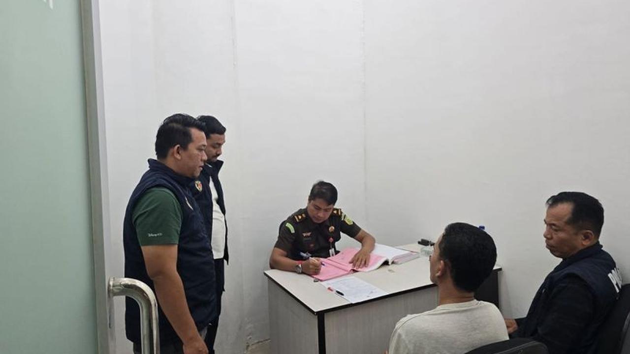 Sidang Perdagangan Kulit Harimau Sumatra di Aceh Tenggara Bergulir, Petani Didakwa