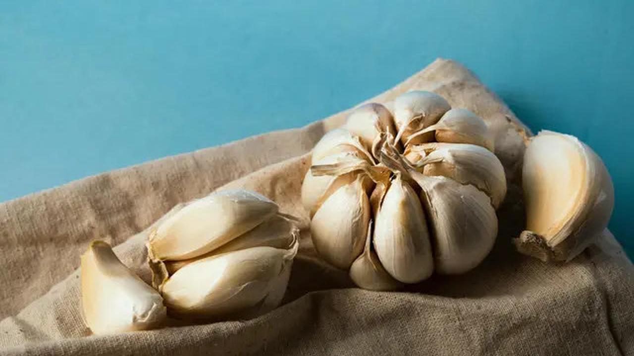 Cara Merebus Singkong di Magic Com, Empuk dan Pulen Tanpa Repot