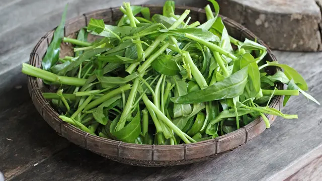 Cara Cuci Kangkung agar Tetap Hijau dan Bebas Ulat dengan Satu Bahan Dapur