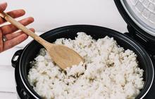 Nasi dan Pasta Tak Lagi Jadi Musuh: Cara Sederhana Ubah Karbo Nakal Jadi Serat Hebat