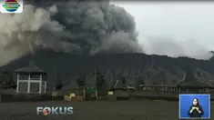 Mereka khawatir hujan abu akan merusak tanaman kentang.