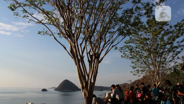 Paradise Bar Labuan Bajo