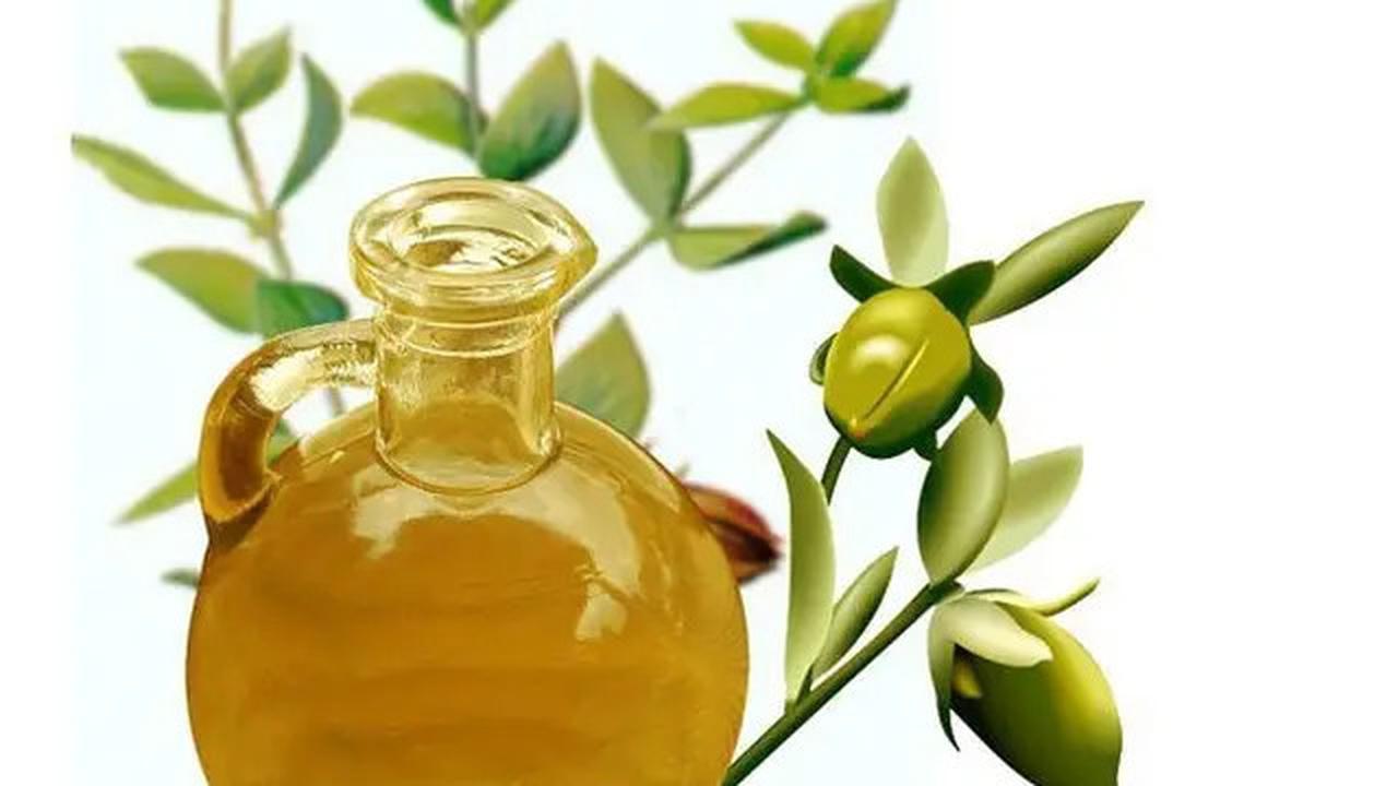 Cara Mudah Masak Sehat Tanpa Banyak Minyak, Dijamin Lebih Hemat