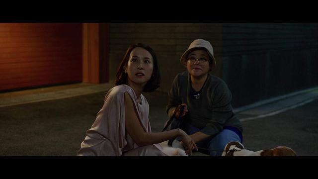 Adegan film Parasite. (Foto: Dok. IMDb/ Barunson E&A)