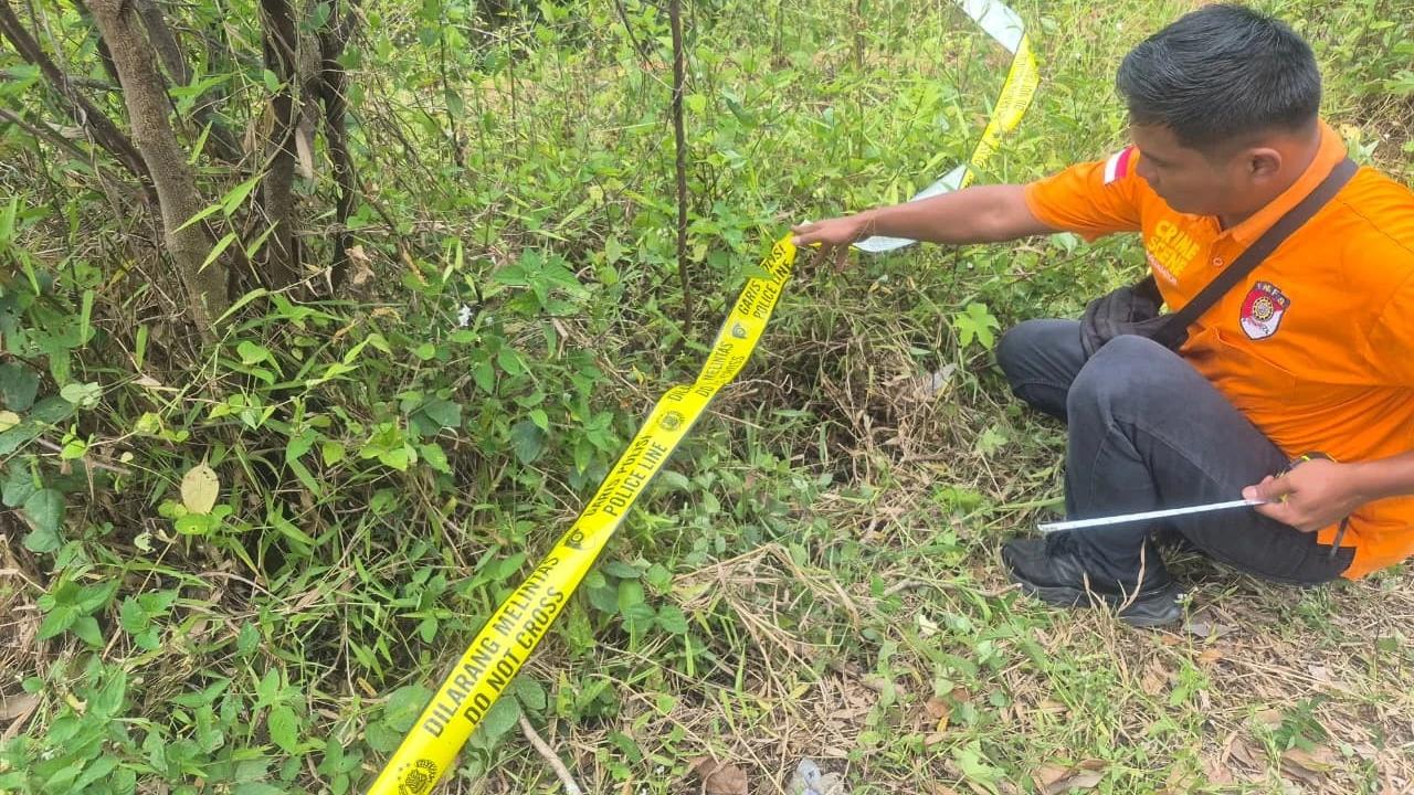 Geger Suara Misterius Dikira Makhluk Gaib, Ternyata Bayi Perempuan Dibuang di Semak-Semak