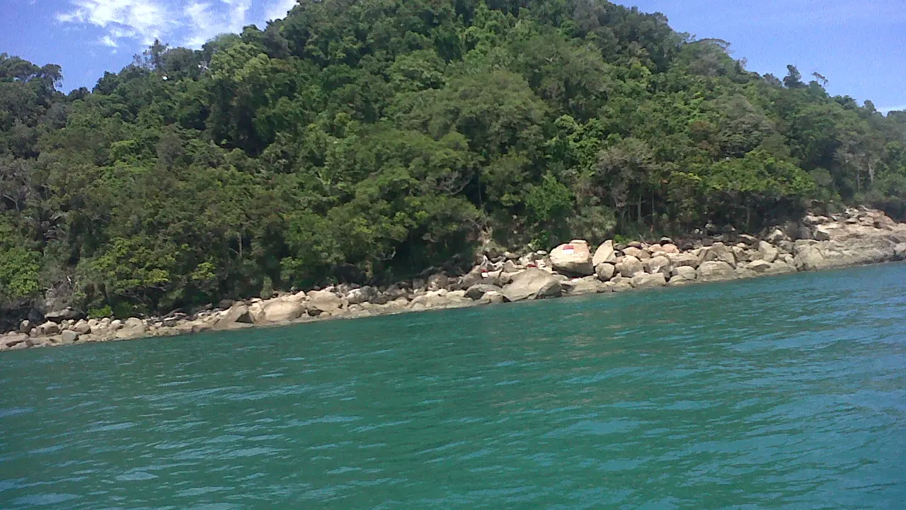Indahnya Keanekaragaman Hayati di Tanjung Datuk 
