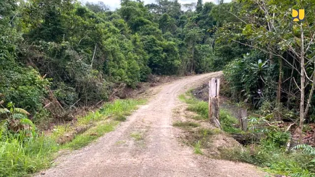 Kementerian PUPR membangun 29 jembatan di ruas Merauke-Sorong Kabupaten Teluk Wondama, Papua Barat. (Dok Kementerian PUPR)