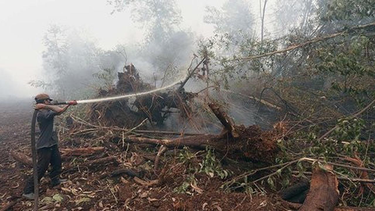46 Orang jadi tersangka kebakaran lahan dan hutan di Riau