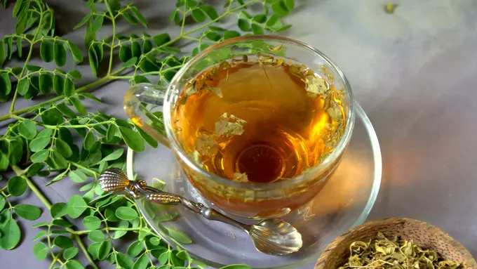 teh herbal daun kelor
