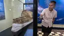 Ahli paleontologi Peru Aldo Benites dan Jeri Ramon, Direktur Peruvian University of San Marcos, menjelaskan rincian penemuan fosil paus sperma prasejarah "diawetkan utuh selama tujuh juta tahun" di National Natural History di Lima, Rabu (15/2/2023). Diperkirakan panjang total hewan itu antara 5 dan 5,5 meter, dianggap sebagai predator berukuran sedang. (Cris BOURONCLE / AFP)