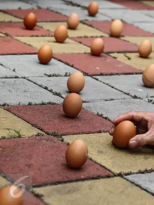 Sejumlah warga etnis Tionghoa mendirikan telur ayam pada dalam perayaan Peh Cun di Pasar Lama, Kota Tangerang, Kamis (9/6). Hari ini tepat pukul 12.00 WIB telur ayam bisa berdiri. (Liputan6.com/Fery Pradolo)