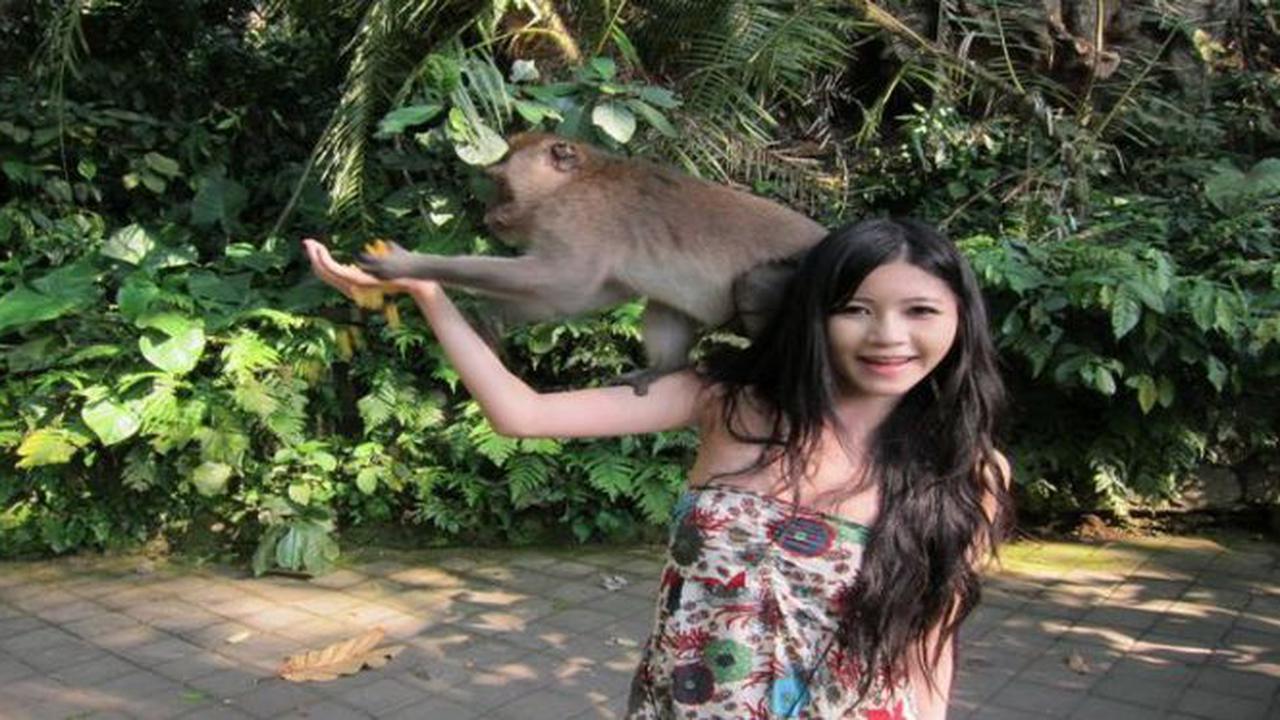 Rekor Monyet di Tahun Monyet