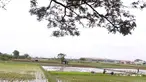 Petani menanam padi di persawahan di kawasan Tangerang, Kamis (3/12/2020). Kementerian Pertanian menargetkan pada musim tanam pertama 2020-2021 penanaman padi mencapai seluas 8,2 juta hektare menghasilkan 20 juta ton beras. (Liputan6.com/Angga Yuniar)