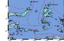 Tsunami Terdeteksi di Bitung dan Halmahera Barat Akibat Gempa Magnitudo 7,6 Guncang Sulut