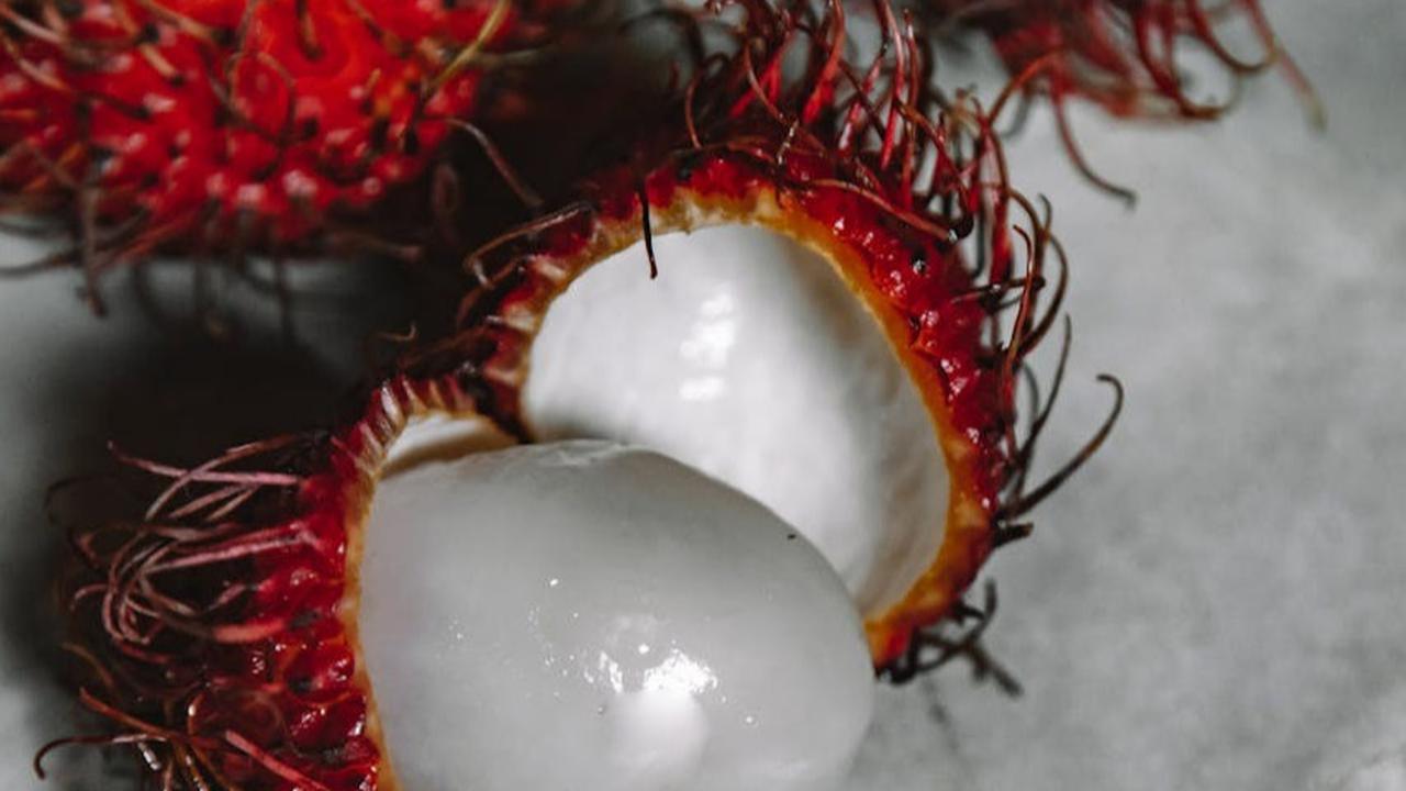 Ilustrasi Rambutan