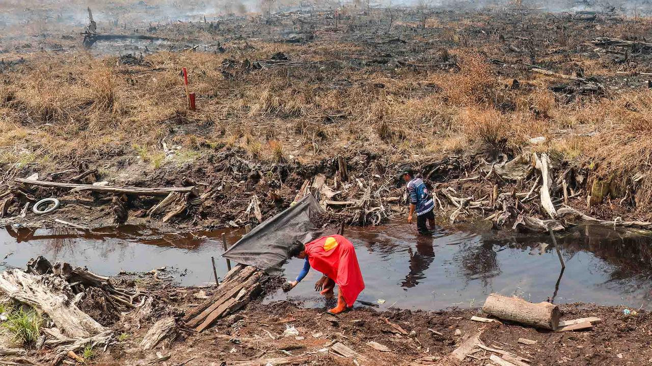 Superman Muncul di Tengah Kebakaran Lahan Palangkaraya