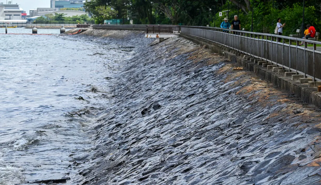Sebelumnya, pada Jumat (14/6/2024), sebuah kapal pengerukan berbendera Belanda menabrak kapal tanker milik Singapura yang tengah ditambatkan. (ROSLAN RAHMAN/AFP)