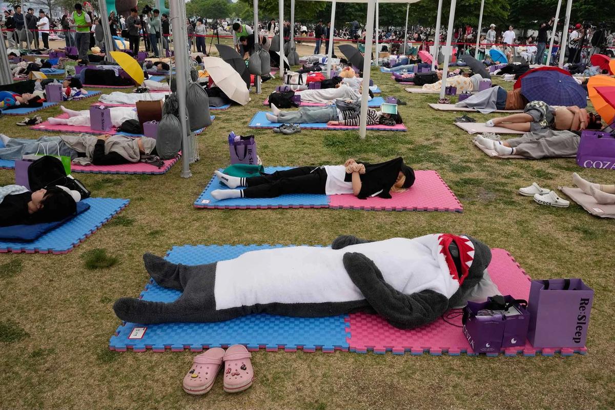 FOTO: Ratusan Warga Seoul Ikuti Kompetisi Tidur Siang di Tepi Sungai Han
